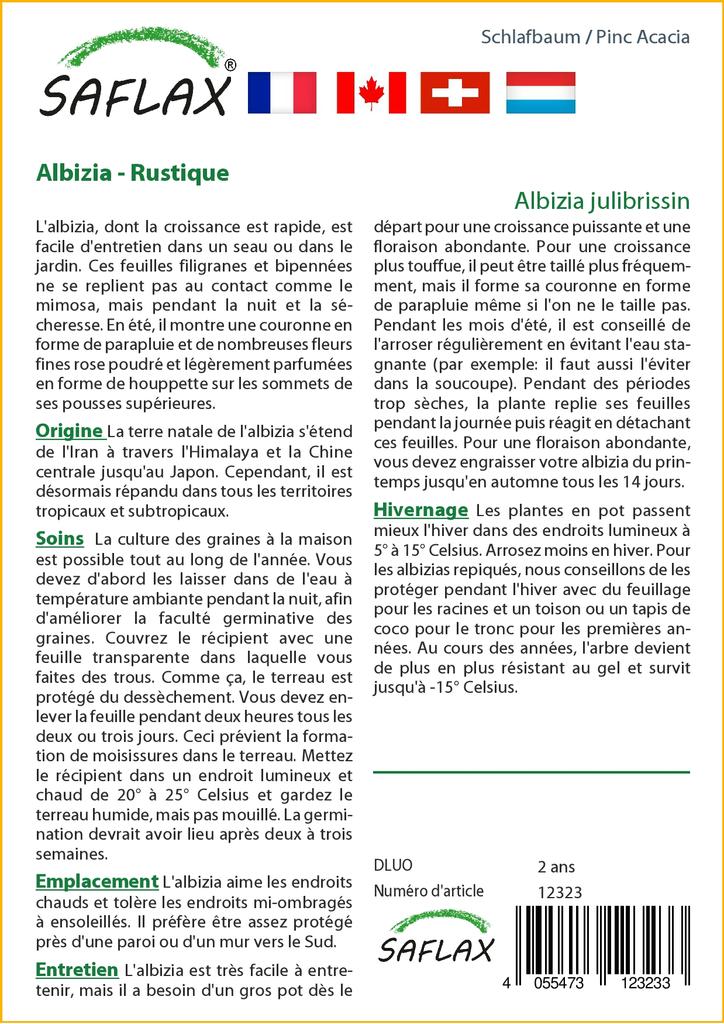 SAFLAX Pinc Acacia - 50 семян - Albizia julibrissin