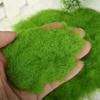 Material Garden Artificial Moss DIY Accessories Micro Landscape Decoration Artificial Grass Powder