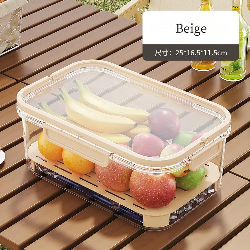 Portable Large Capacity Multifunctional Sealed Refrigerated Lunch Box Handheld Fresh-keeping Box Food Grade Fruit Sealed Box
