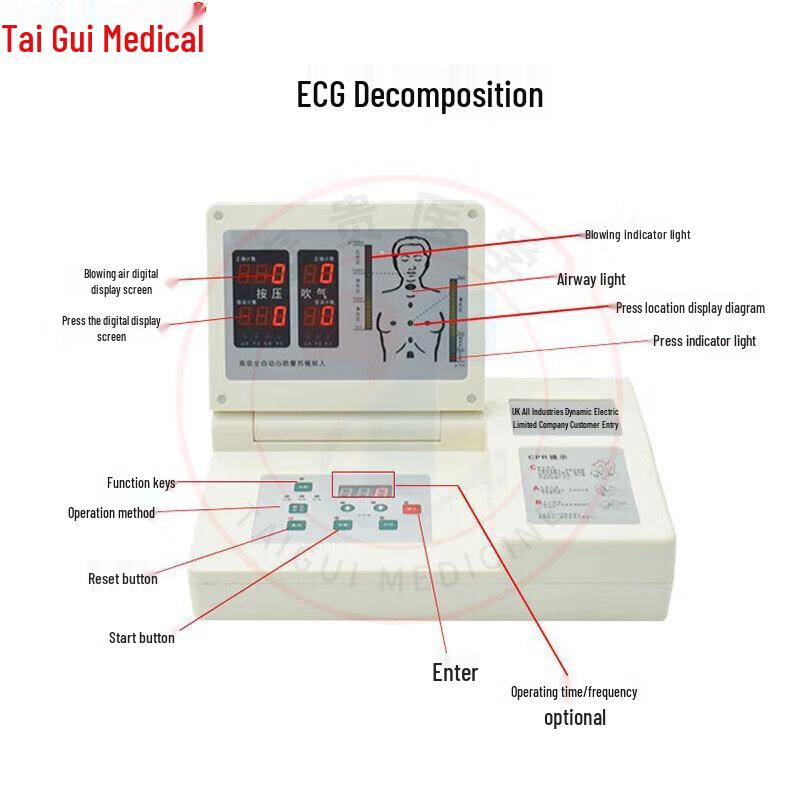 TAIGUI MEDICINE TG/CPR290 Computerized Half-Body CPR Training Manikin