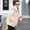 Imitation Lamb Fluffy Coat Women's New Autumn and Winter Lamb Wool Fleece Thickened Sweater Short Hooded Fur