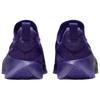 Nike Кроссовки LeBron TR1 "Purple Rain" FJ6151-500