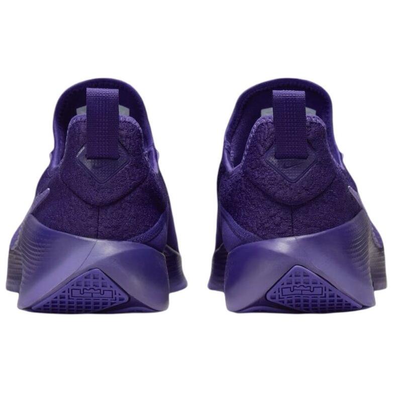 Nike Кроссовки LeBron TR1 "Purple Rain" FJ6151-500