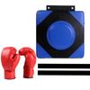 Boxing Wall Target Pad Focus Punching for Indoor Sports Martial