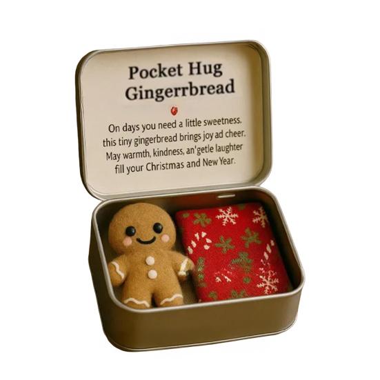 Christmas Pocket Hug Gift Handmade Felt Doll In A Box Little Pocket Hug with Gift Card Thoughtful Gift for Friends Family