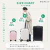Small 1 Night 2 Expandable Can Handle Extra Luggage When [LEGEND WALKER] Suitcase, Carry-on Case, Size, Carry-on Size, Days, Function, Traveling,