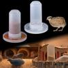 Automatic for Chicken Parrot Water Dispenser Pigeon Feeder Pigeon Food Box Bird Drinking Fountain