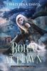 Книга Born At Dawn : An Upper YA Fantasy Adventure Begins : 1
