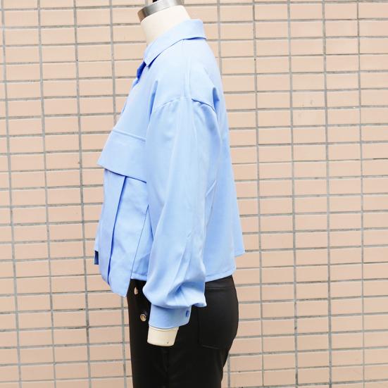 Женская летняя рубашка с рукавами, рубашки, топы, укороченные топы, базовый стиль для поездок на работу, длинные однобортные лацканы с клапаном