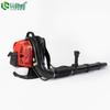 Lichen Gasoline Backpack Multi-Purpose Blower CN plug (adapter included)