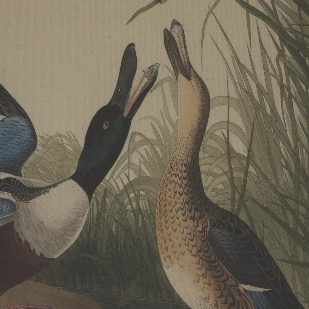 Hill Interiors Flora & Fauna Collection Mallards Beaded Linen Framed Wall Art