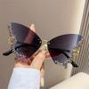 Y2K Eyewear Butterfly Sunglasses Purple Sunglasses for Women Bling Sun Glasses Ladies Shades