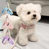 Дышащая шлейка с цветными блоками и поводок для маленьких/средних собак - Тедди, Сиба-ину