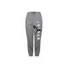 Спортивные брюки Air Jumpman мужские, серые, CD5873-071