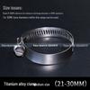 316 Stainless Steel Quick Release Hose Clamp for Pipe Fixing