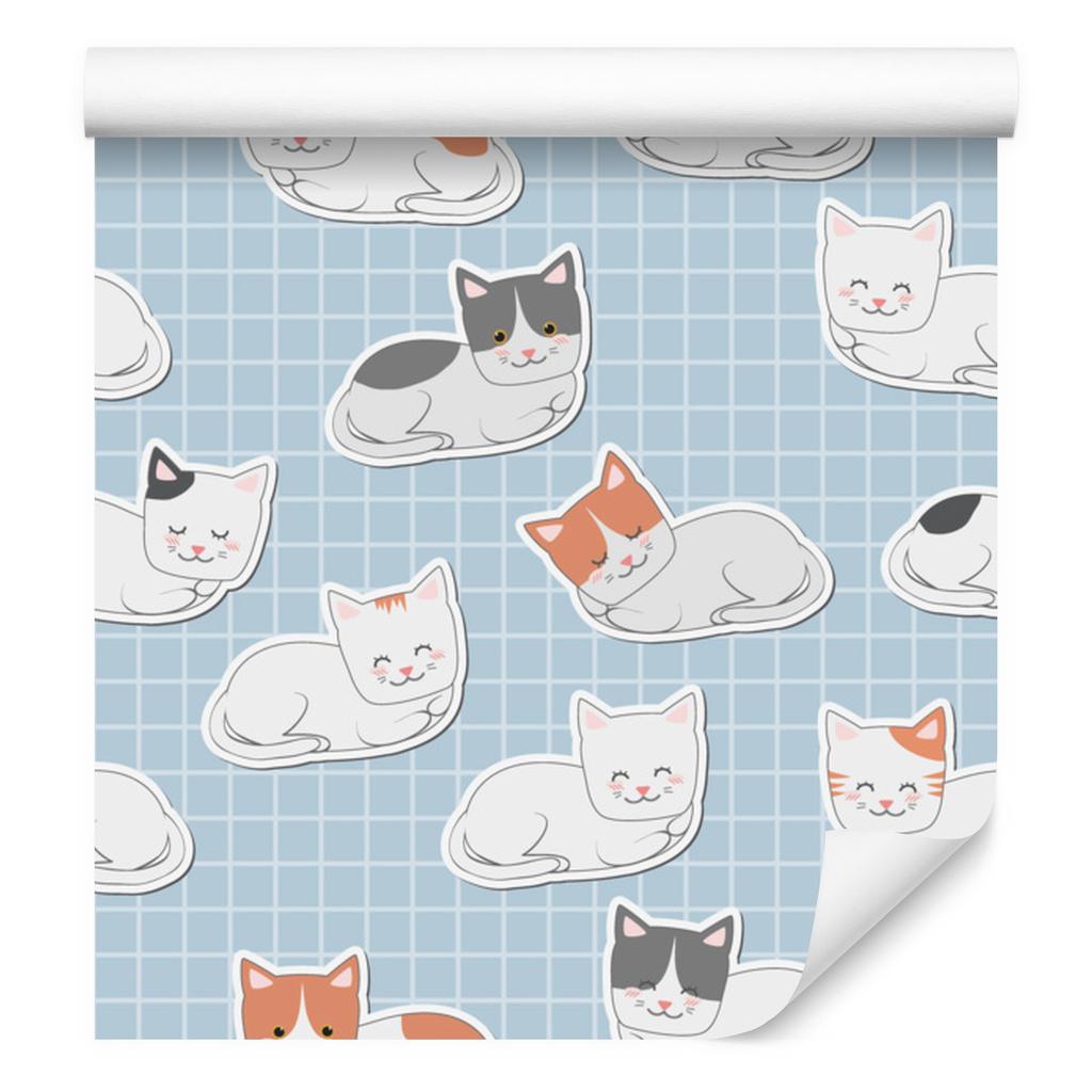 Kittens wallpaper for living room and bedroom 50x1000
