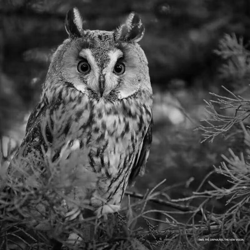 ORPHA V200 HD Infrared Night Vision Monocular