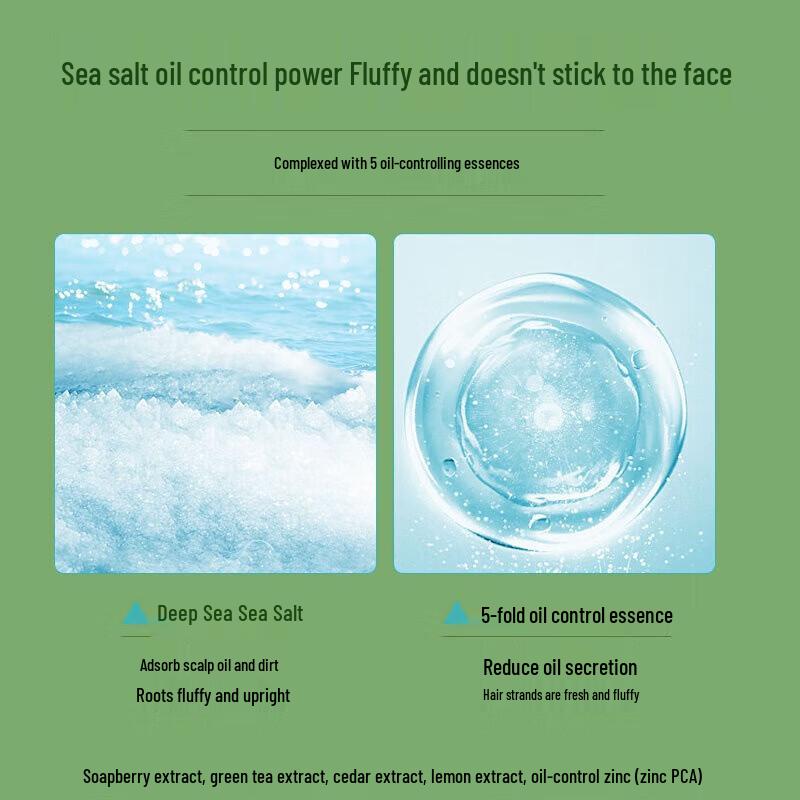 Raclen Anti-Dandruff Oil Control Volumizing Shampoo (2 x 400ml)