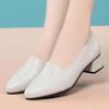 Women's High Heels Fashion Pumps Shoes Woman  Pointed Toe Soft Leather Casual Single Shoes Comfortable Thick Heel Mother Shoes