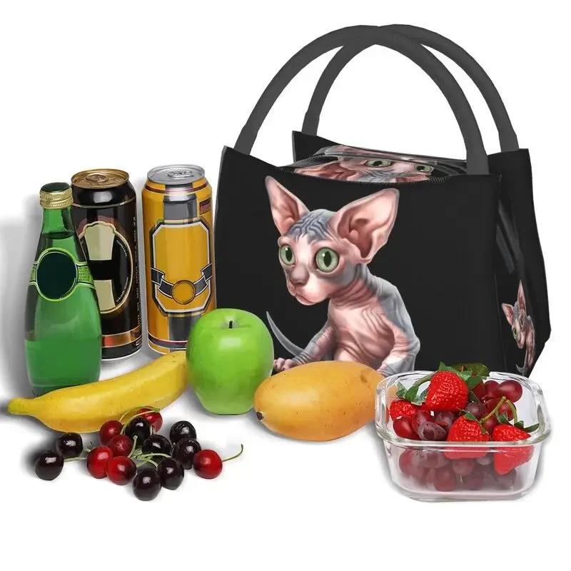 Термоизолированная сумка для ланча Shpynx Cat, женская, милая, с котенком, многоразовая, для пикника на открытом воздухе, для хранения еды, коробка для еды