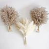 Source Yunnan Dried Flower Bouquet Combination, Real Flower Pampas Grass Home Decoration Reed Rabbit Tail Grass Dried Flowers