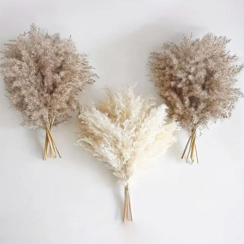 Source Yunnan Dried Flower Bouquet Combination, Real Flower Pampas Grass Home Decoration Reed Rabbit Tail Grass Dried Flowers