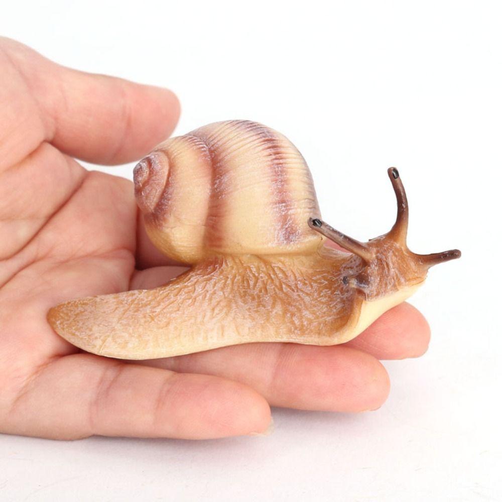 Science Children's Cognitive Education Snail Statue Snail Model Simulation Insect Garden Decoration
