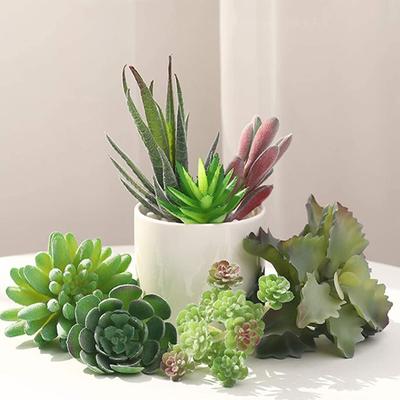 11 шт. искусственные суккуленты ПВХ имитация миниатюрного суккулентного растения DIY ремесло негоршечный домашний садовый декор настольное украшение стола