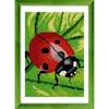 Ladybug Cross Stitch Embroidery Kit
