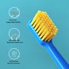 Colorful Soft Bristle Adult Toothbrush 3-Pack with Crystal Box and Protective Sheath