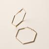 Hexagon Contemporary Geometric Ear Rings With Electroplated Gold Women For