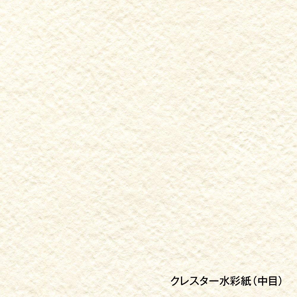 Holbein Crestar Watercolor Medium Cut Size x 2 261991 Paper, Grain, 210g, 1/4 (380 280mm), Sheets,