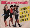 7inch Record EXPOSÉ - What You Don't Know AS19836 Arista 1989 Canada Dance & Electronica Used