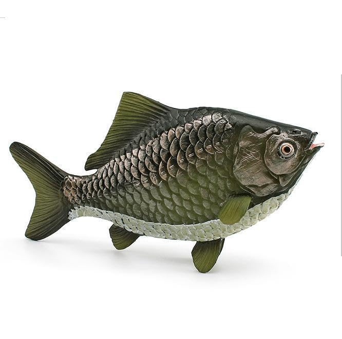 [Nekogamiyama] European Carp, Crucian Carp, Gengoro-Buna, River Fish, Lake Fish, Figurine Model, Miniature Ornament, Interior Decor, Collectible Model