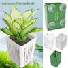 Plastic Fish Tank Hydroponic Planting Basket Aquascape Decoration Plant Cultivation Rack Fish Tank
