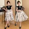 Girls' dress, summer outfit, new western-style children's Chinese style Hanfu, new Chinese style summer super fairy princess dress