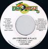 7-дюймовая пластинка LUCIANO / TAMONE - Jah Prepare A Place / Never Stay Aw NONE King Judah 2005 Ямайка Регги, Ска и Даб Б/У