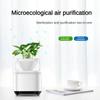 New Small Space Sterilization Formaldehyde Removal Device Desktop Microecological Air Purifier Household Air Purifier