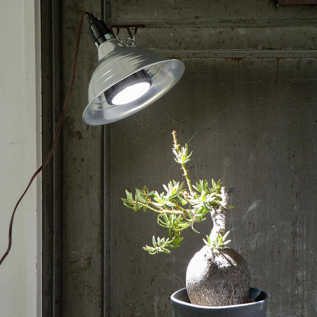 Dulton Aluminum Clip Lamp Medium Yellow Clip Lighting with a Distinct Personality Light Outlet Photography Work YELLOW Body Length 37cm Diameter Cord