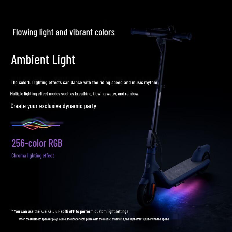 Ninebot C2 Pro Electric Scooter (CN version)