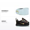 Nike LeBron 16 Watch The Throne TD CJ6708-001