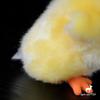 Cute Yellow Chicken Plush Doll Simulation Yellow Chicken Plush Toy Farm Animals Plush Toys