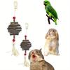 1pc Natural Apple Wood Chewing Toy Hanging String for Small Pets Hamsters Rabbits Birds Parrots Guinea Pigs for Hanging In Cages