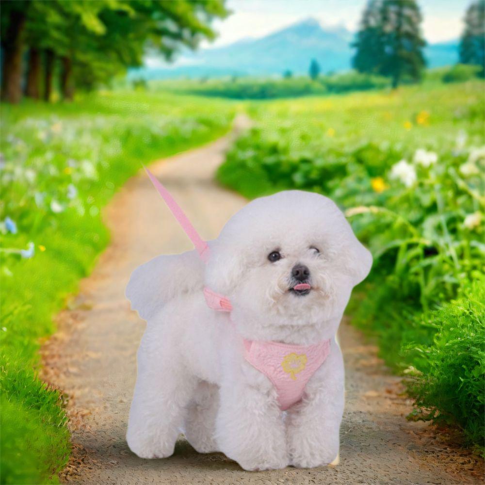 Adjustable Cat Dog Harness Breathable Dog Undershirt Chest Strap  for Medium Large Dog