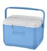 Take 6 (Daydream) Cooler Box - Ideal for Fishing, Sports Days, Cherry Blossom Viewing, Club Activities, Lunch Boxes, Drinks, Shopping,