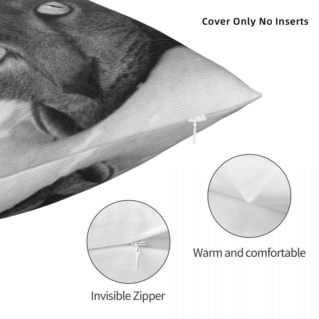 Russian Blue Cats Eyes Pillowcase Polyester Linen Velvet Printed Zip Decorative Throw Pillow Case Home Cushion 45X45