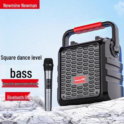Портативная уличная Bluetooth-колонка Newmine K77, штекер CN (адаптер в комплекте)