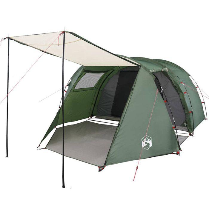 VidaXL Tente de Camping Tunnel 4 Personnes, Tente d'Ombrage avec Sac de Transport, Auvent de Camping, Abri de Jardin, Vert 94397