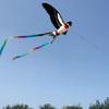 Dynamic Large Eagle Kites 30 Meter Fishing Rod Kite Plastic Eagle Kite  Garden Outdoor Sports