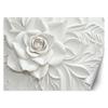Wallpaper Rose Blossom 3D